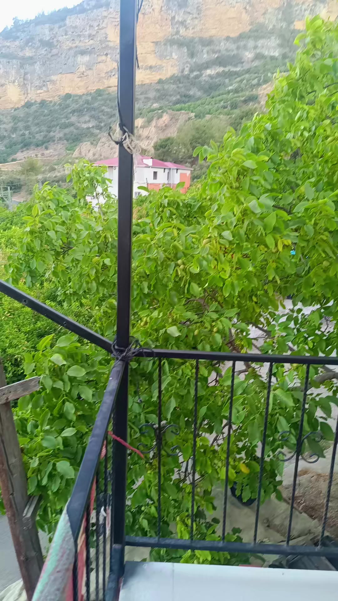 @Recep Ballı