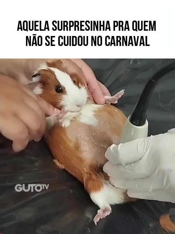 @Happy Day Brasil