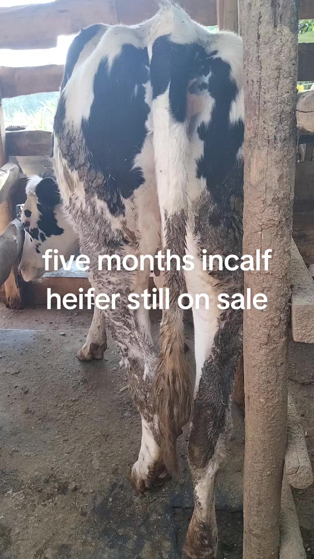 @NELWA REAL FARM