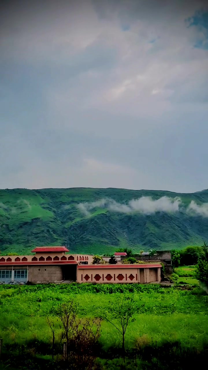 @shasaib19