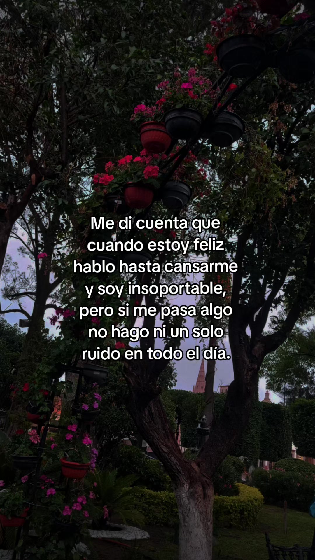@Danny Romo🌷✨