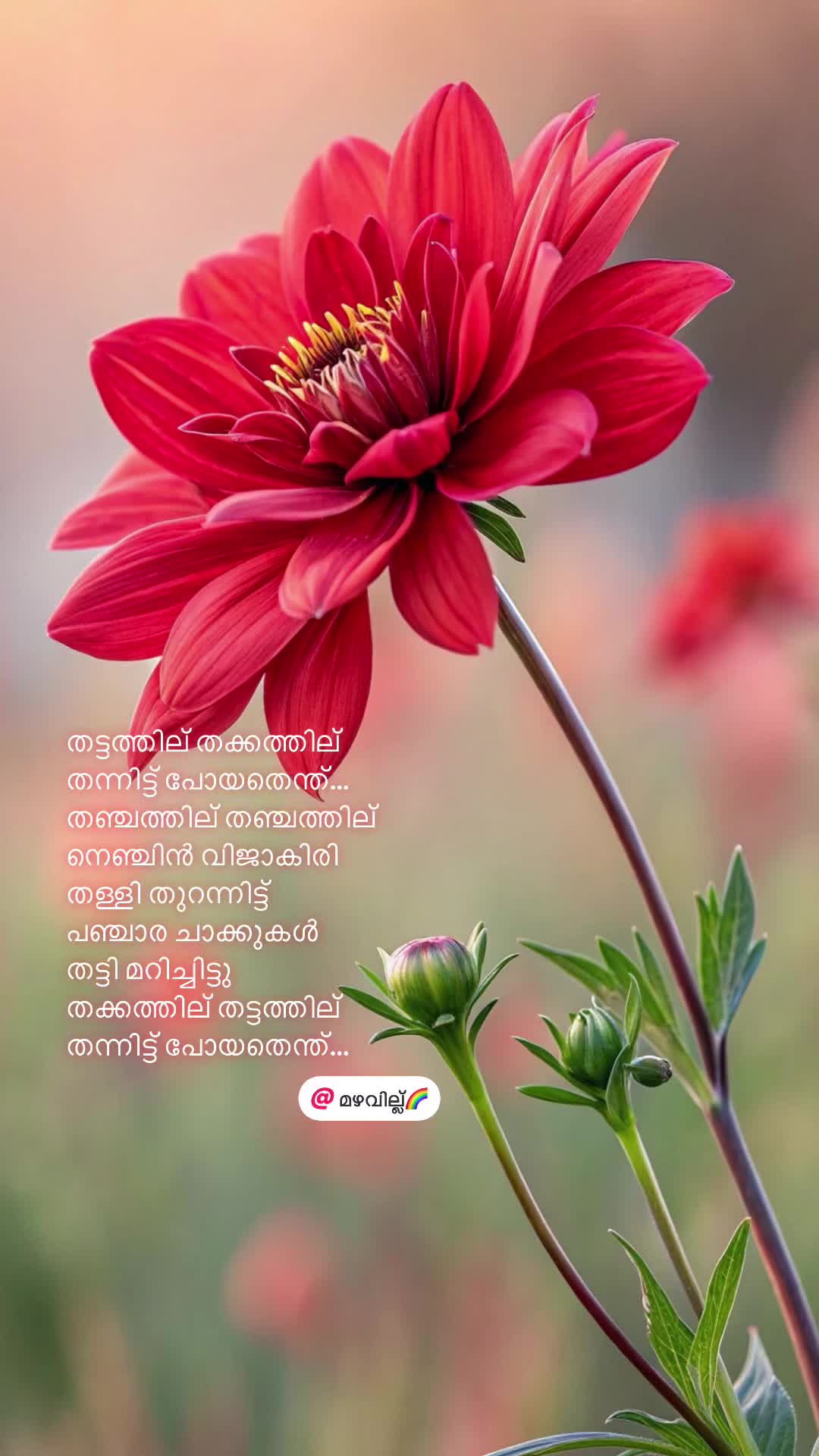 @മഴവില്ല്🌈