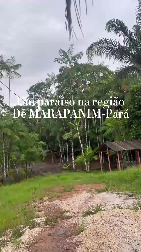 @Raimunda iraneide da silva
