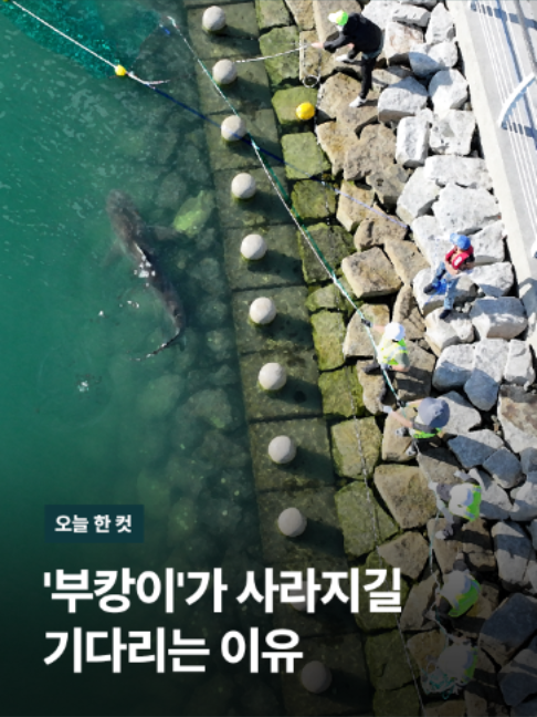 @JTBC News