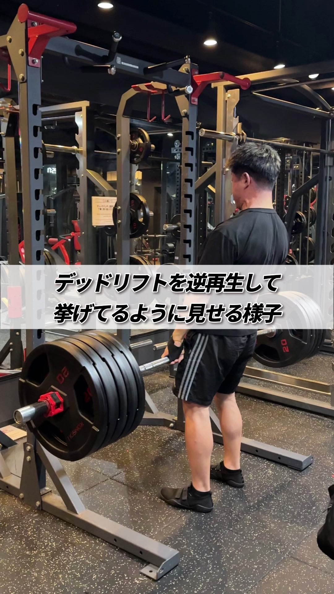 @たんぱくとりお