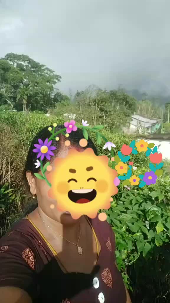 @anandianandi292