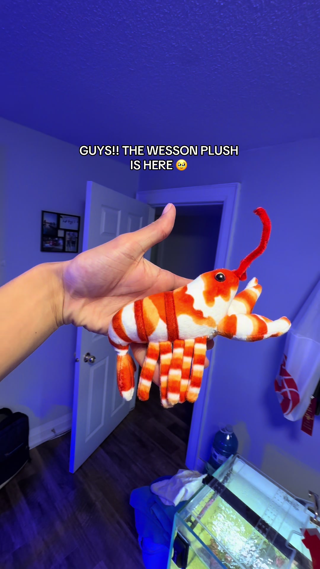 @ReefSync