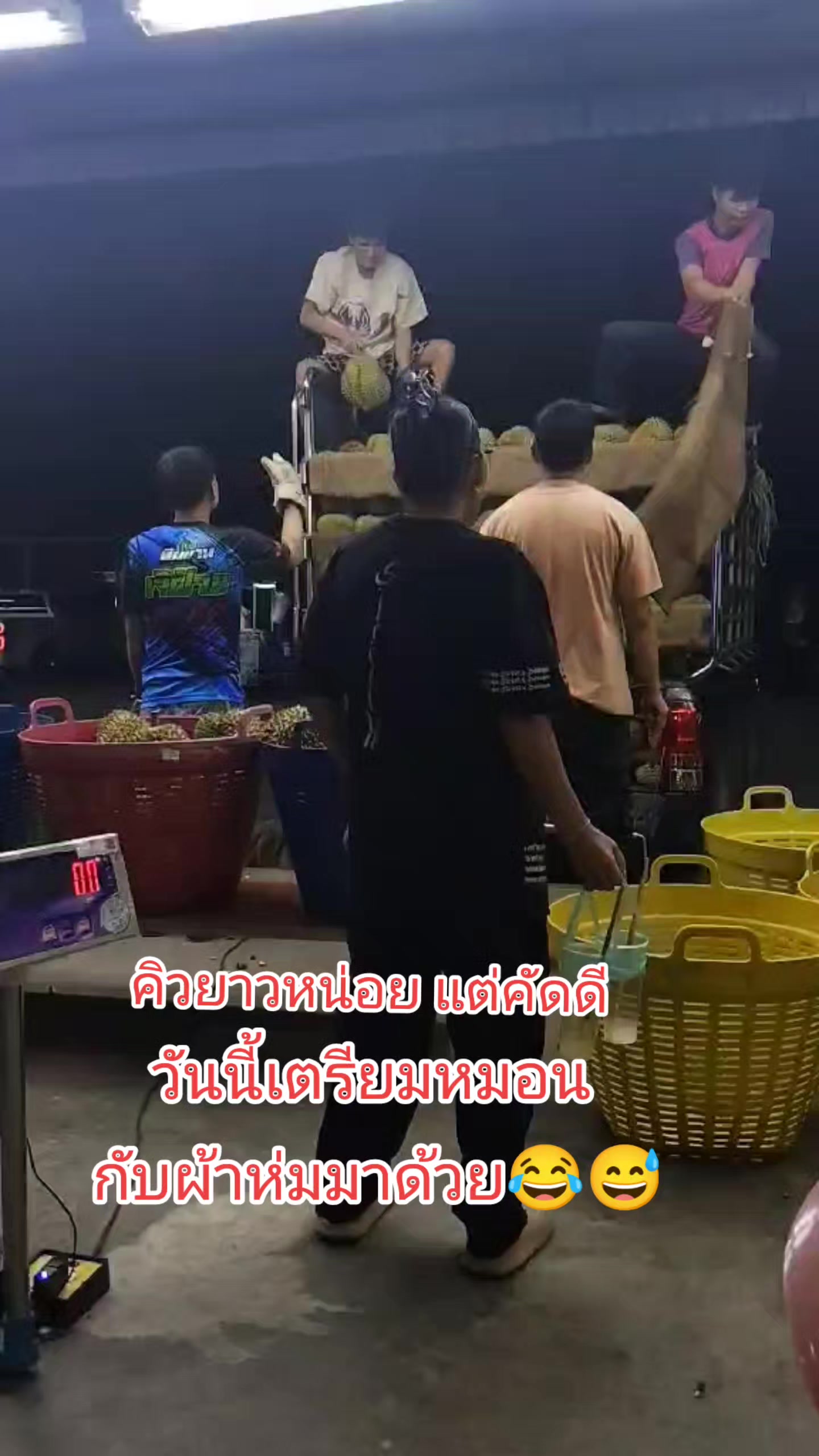 @สุจิตตรา ไชยสงค์