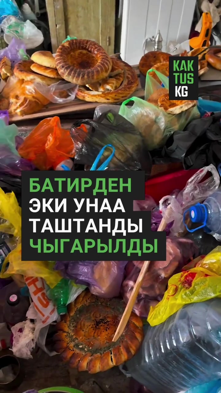 @Kaktus KG