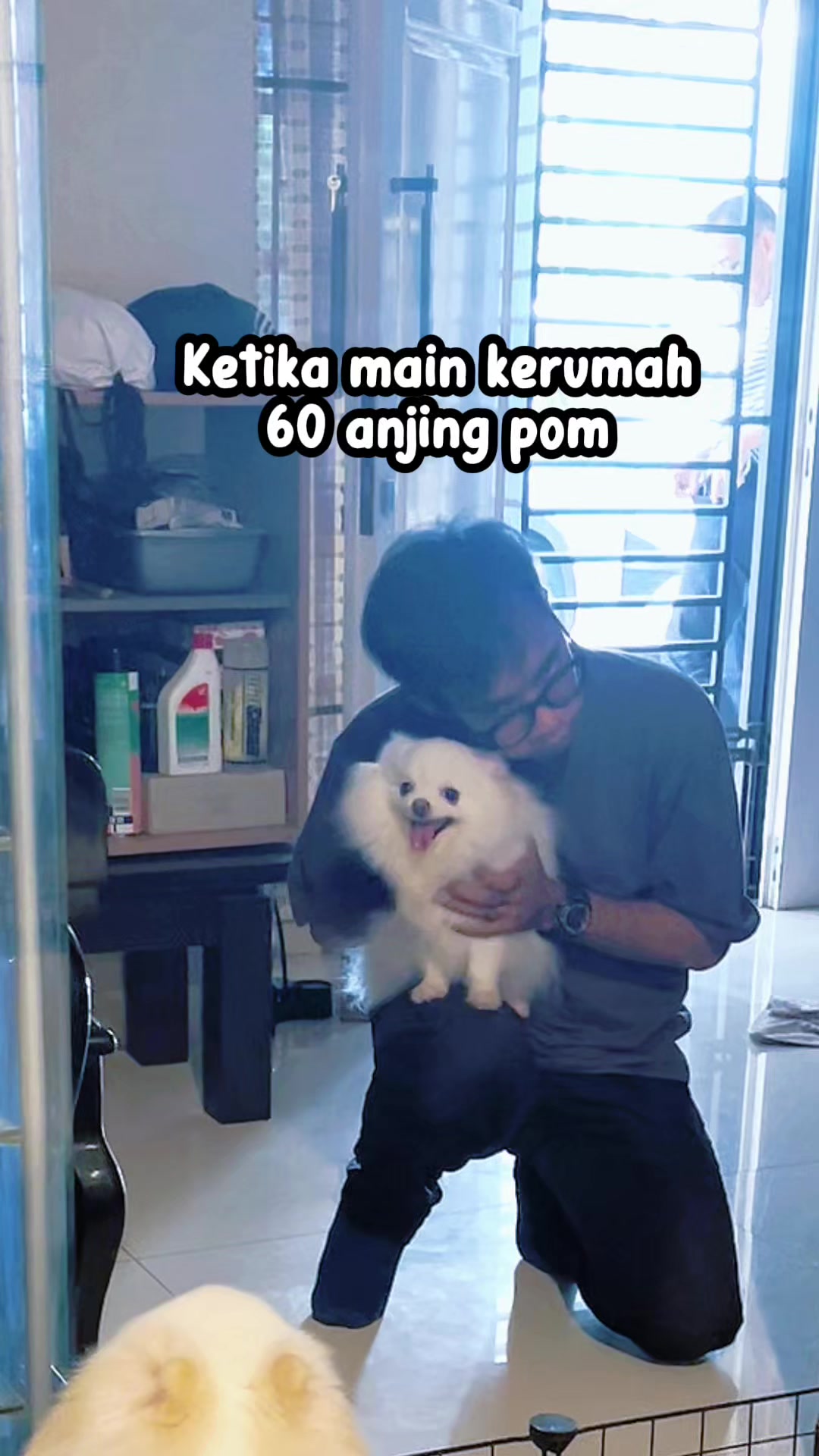 @Chipas Family