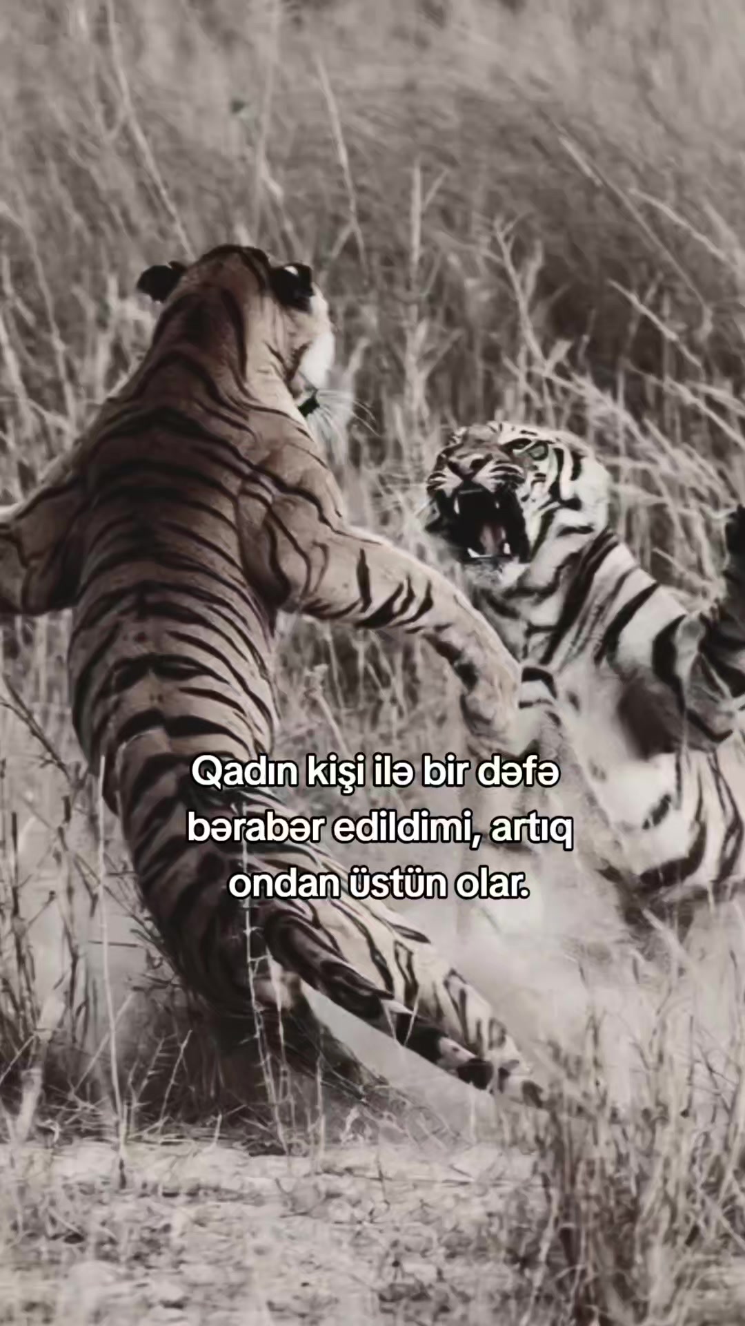 @𝗠𝗲𝗹𝗶𝗸𝗼𝘄𝘀 ⚡️