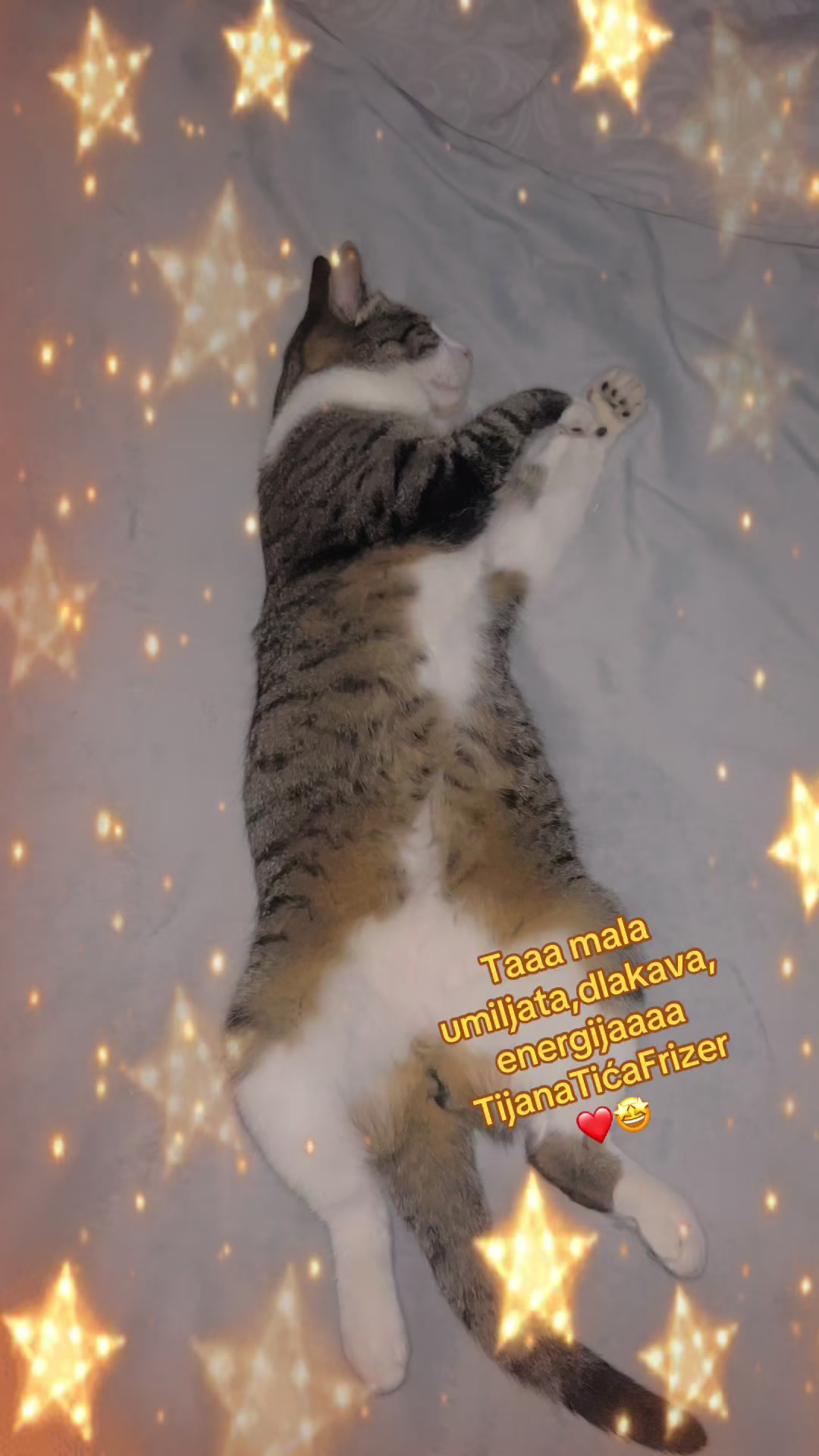 @Tijanicaaaa👑🌎☕️🍀