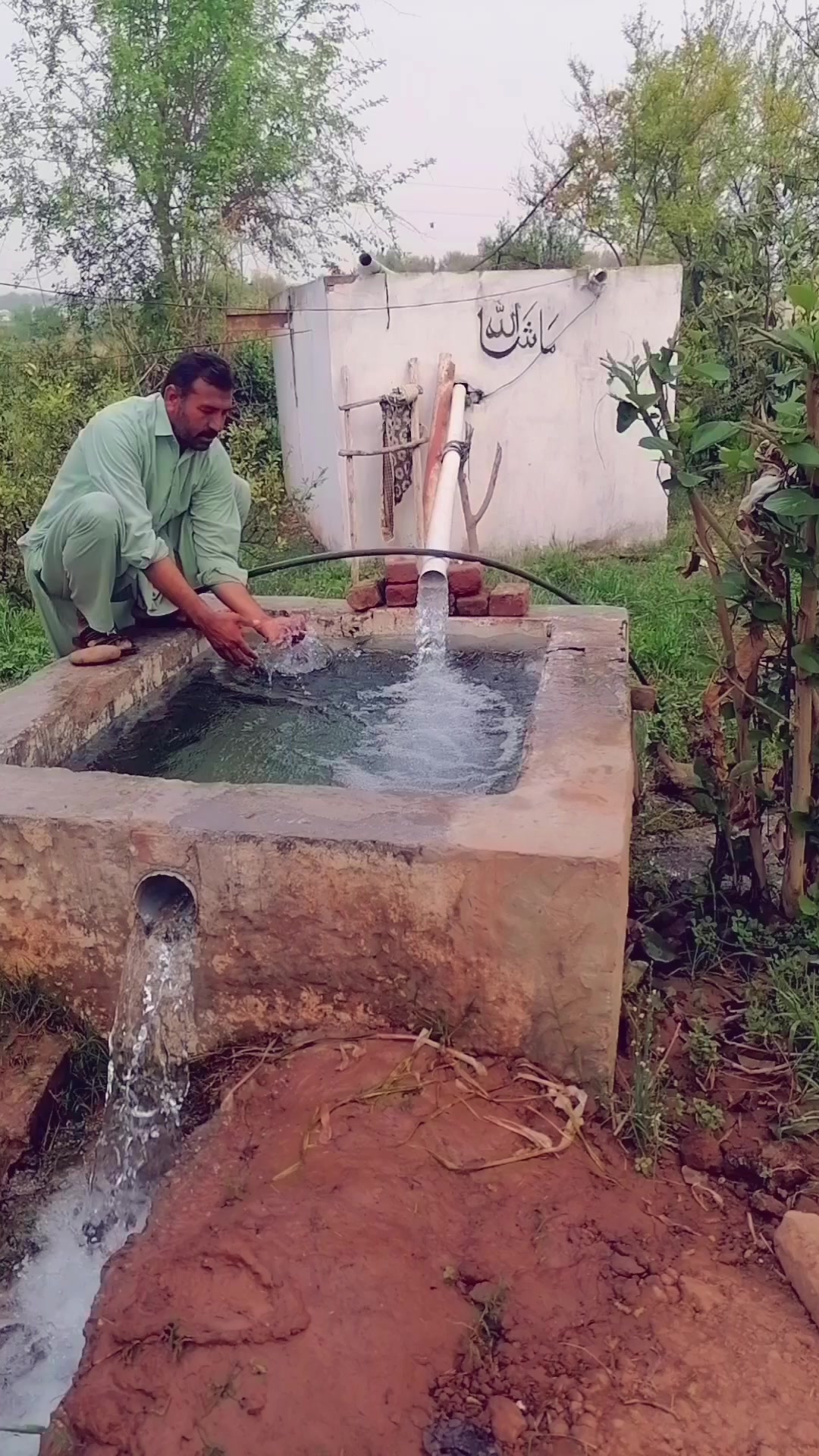 @Malik Faisal