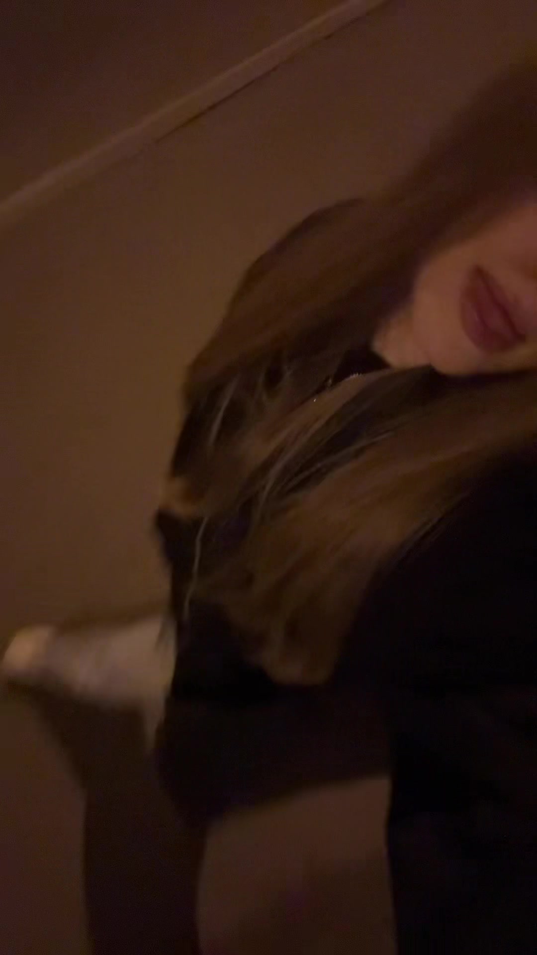 @степашка
