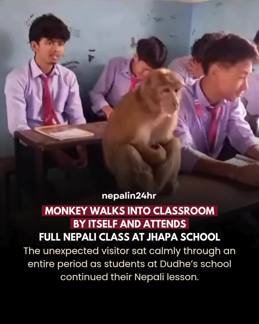 @Nepal in 24hr