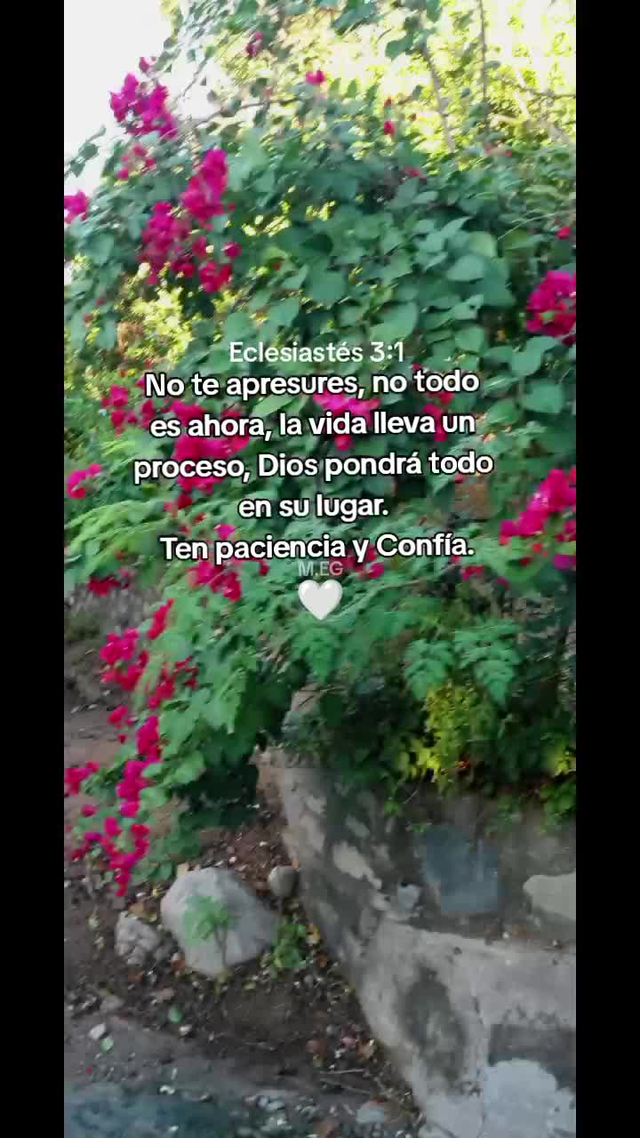 @Sebastián 74