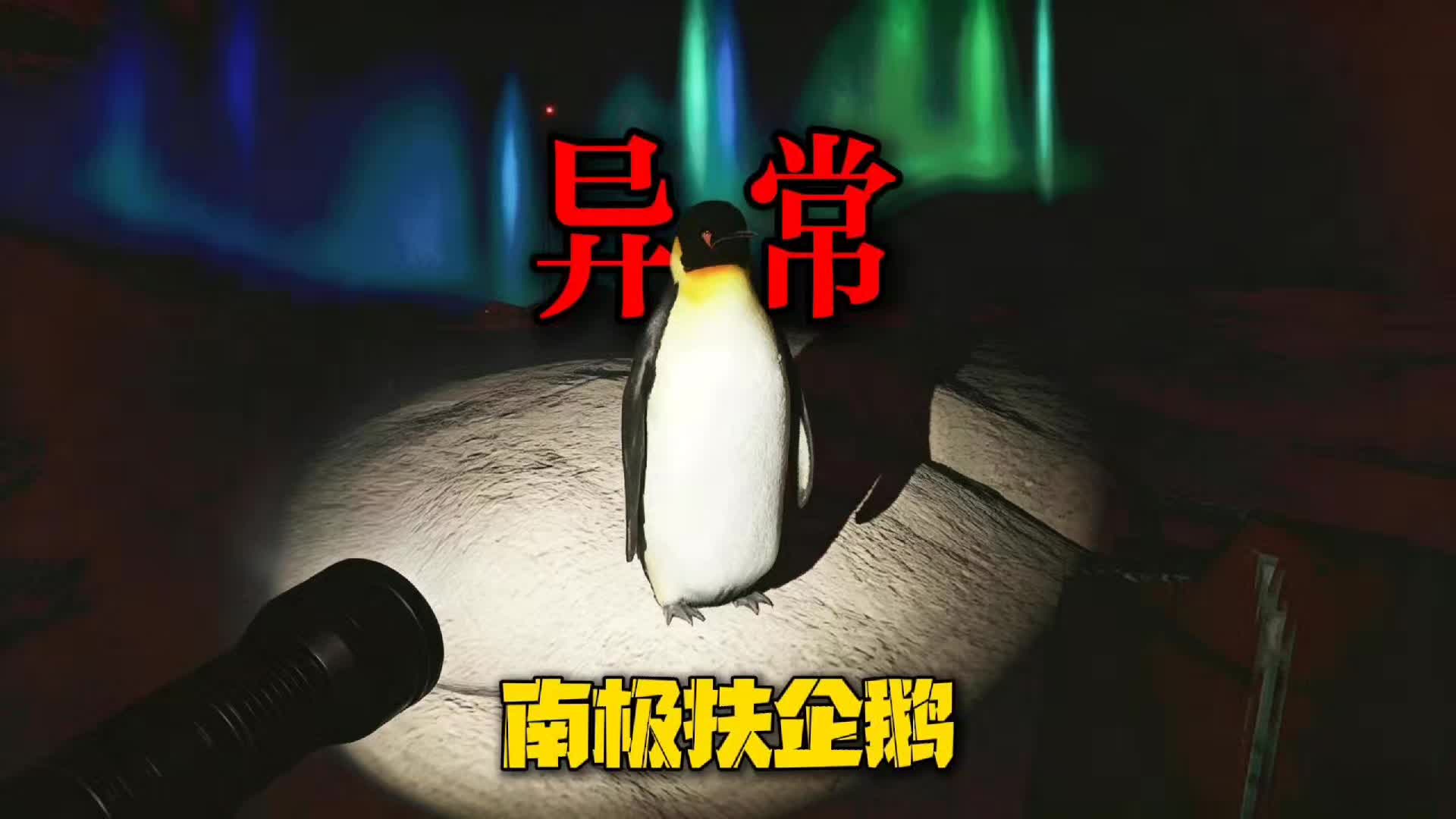 @二狗司令