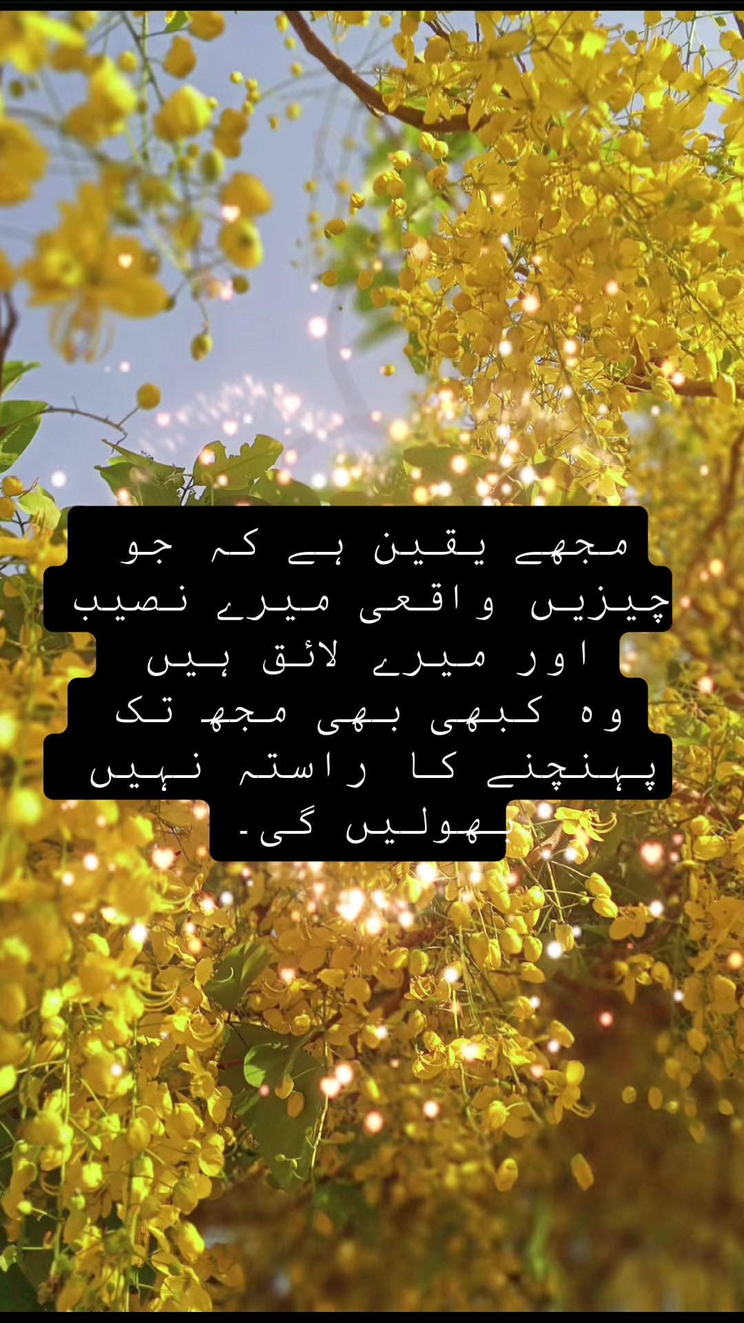 @INNOCENT 😇