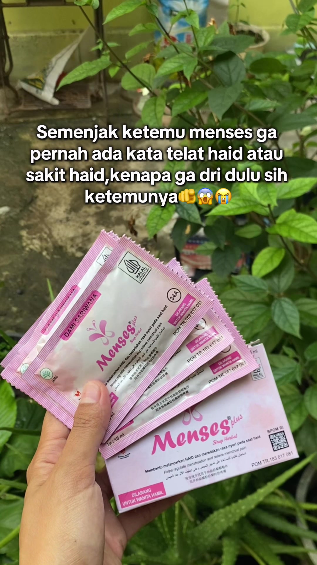 @fifi