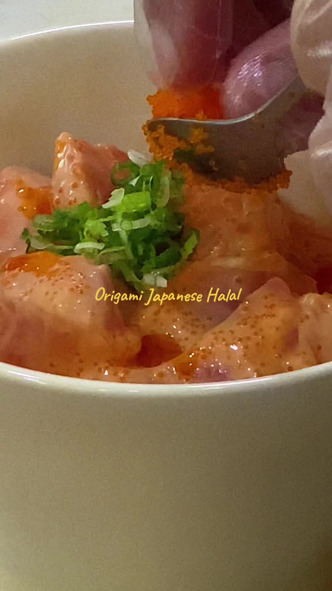 @Origami Japanese Halal
