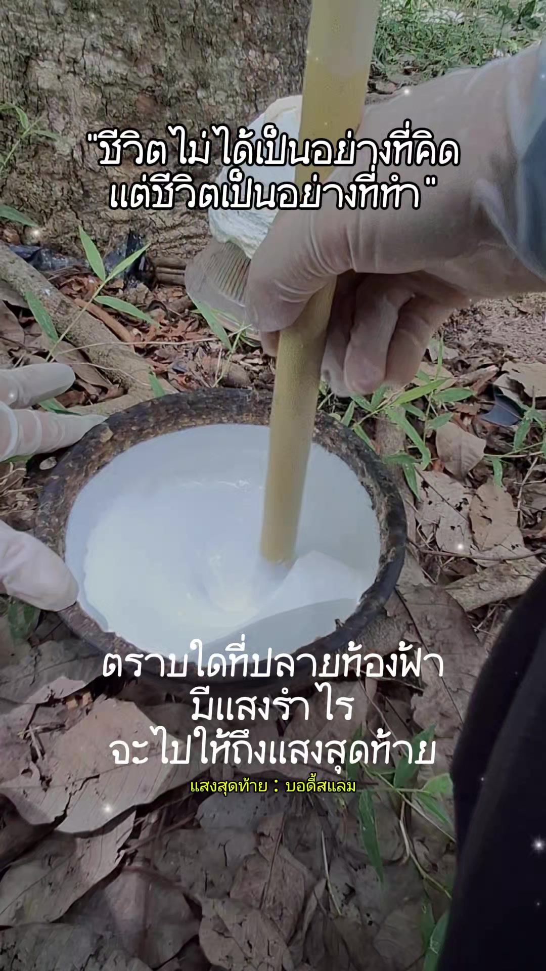@แม่อ้อยเกษตรกรออนไลน์
