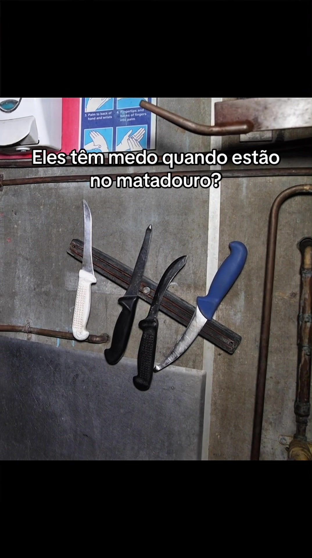 @Carne &eacute; cruel