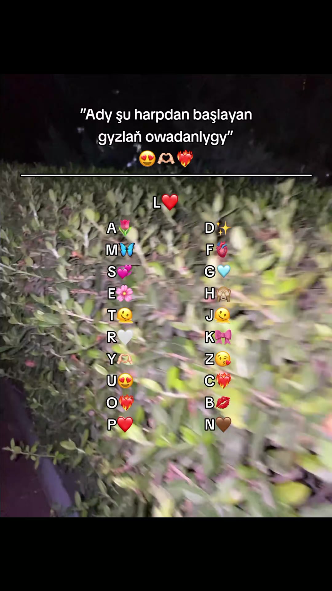 @๐๐ซ๐ข๐ฏ_๐๐๐ป๏ฃฟ