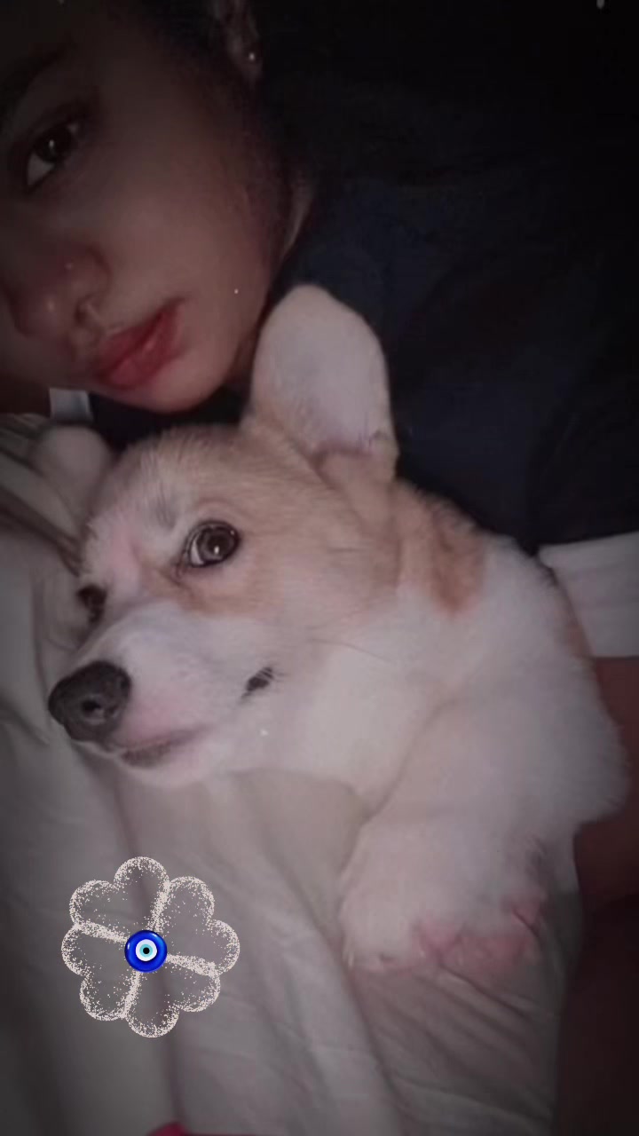 @Bhavaani Teddy 11:11🕊️