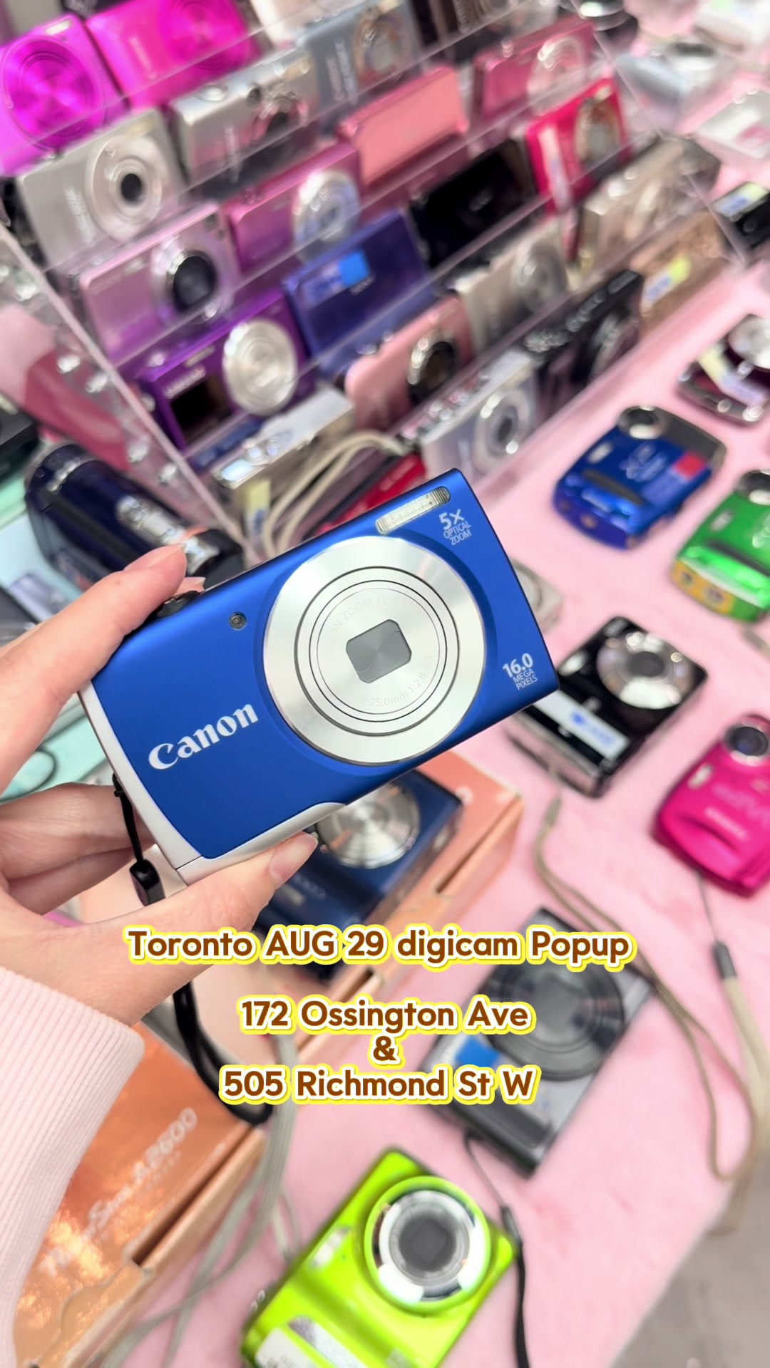 @shutterbug_cameras