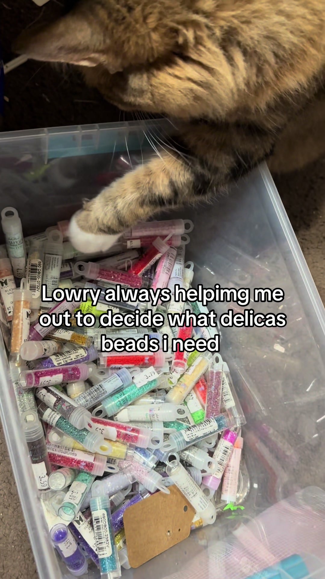 @Melissa Designs