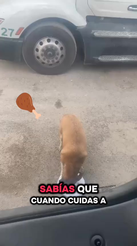 @CharlyTrokeromexusa🇲🇽🇺🇲