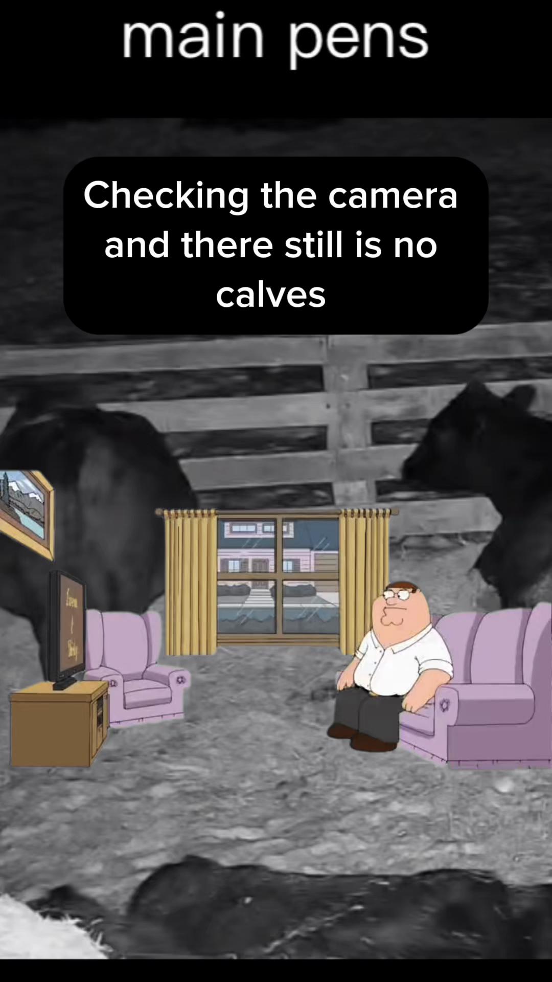 @Dusty Calhoun