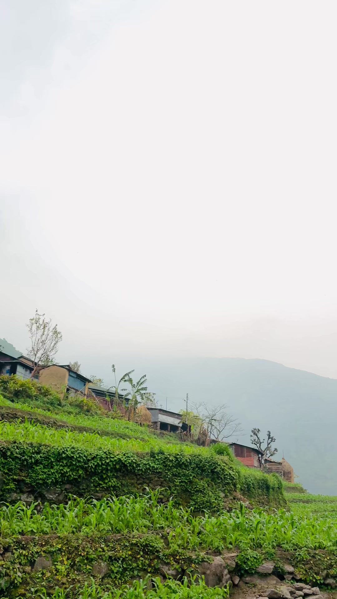 @️BISHNU