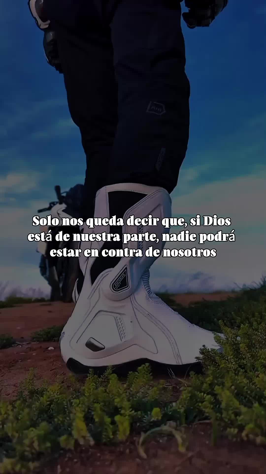 @✭Frank_Zs✭