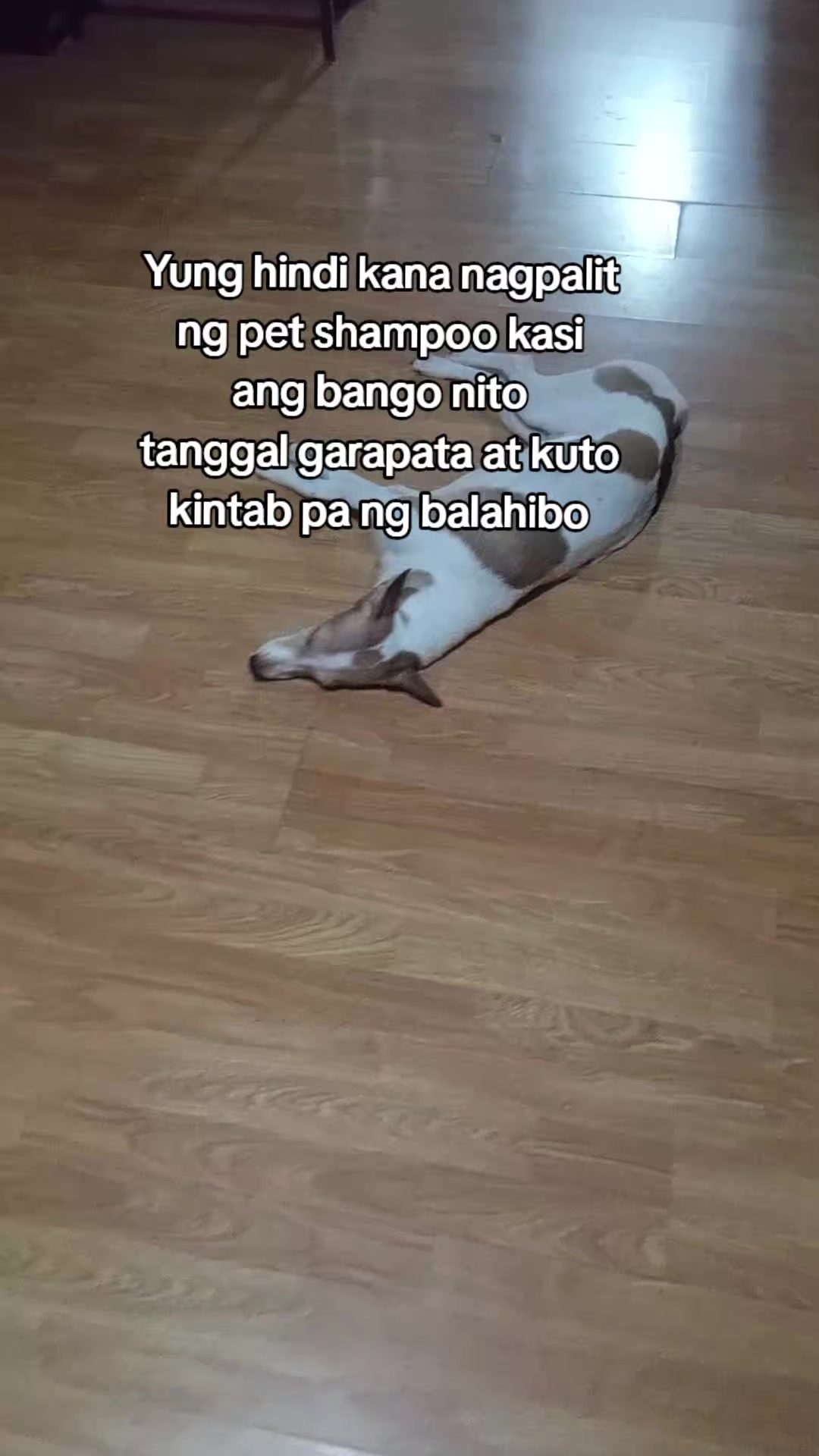 @zhanieee