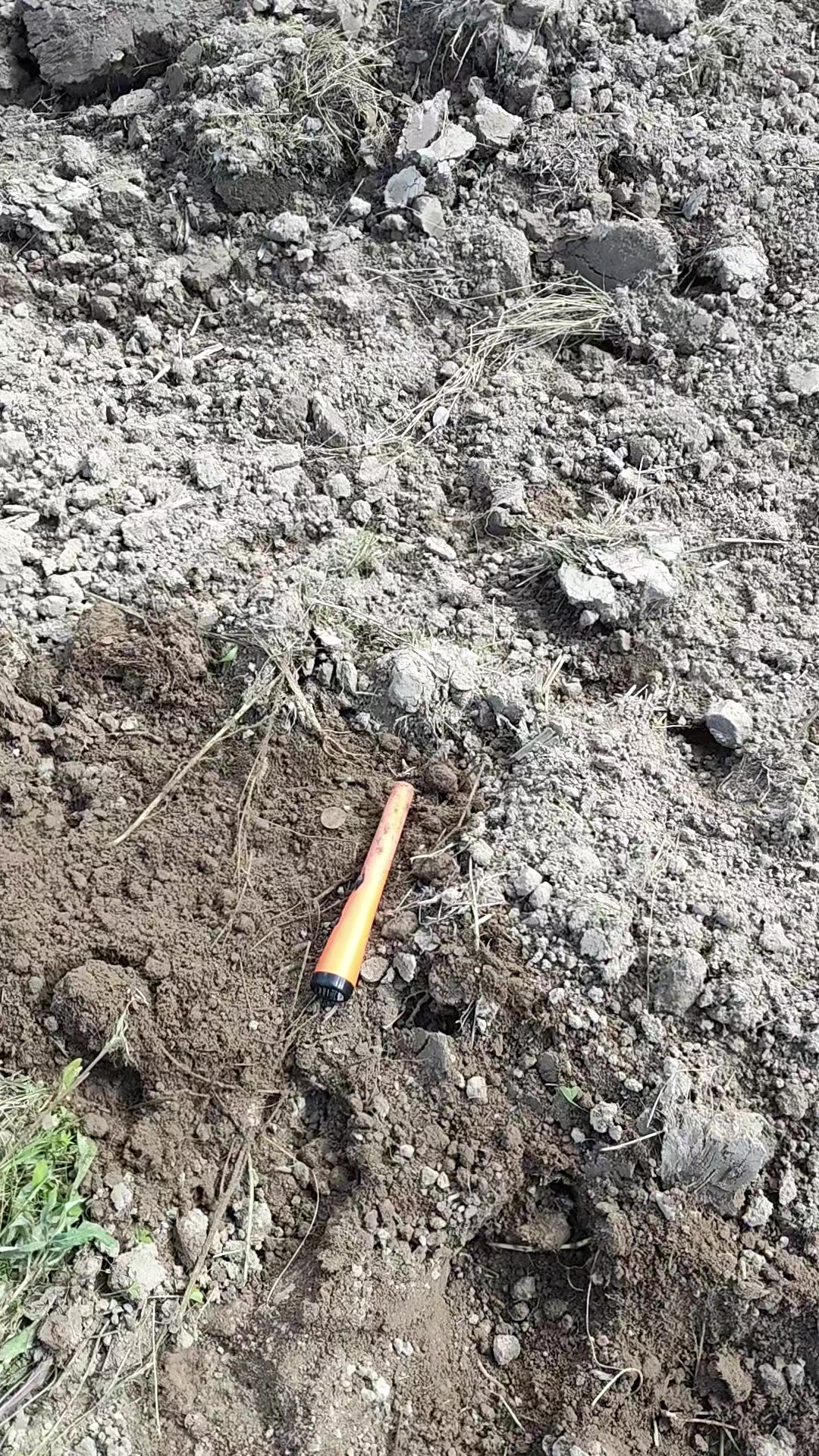 @Владимир