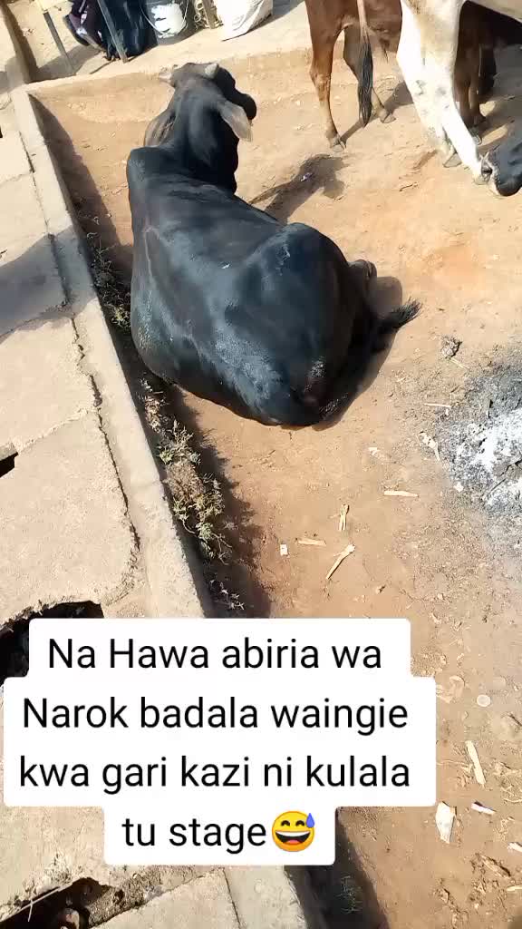 @Benz_Kariuki