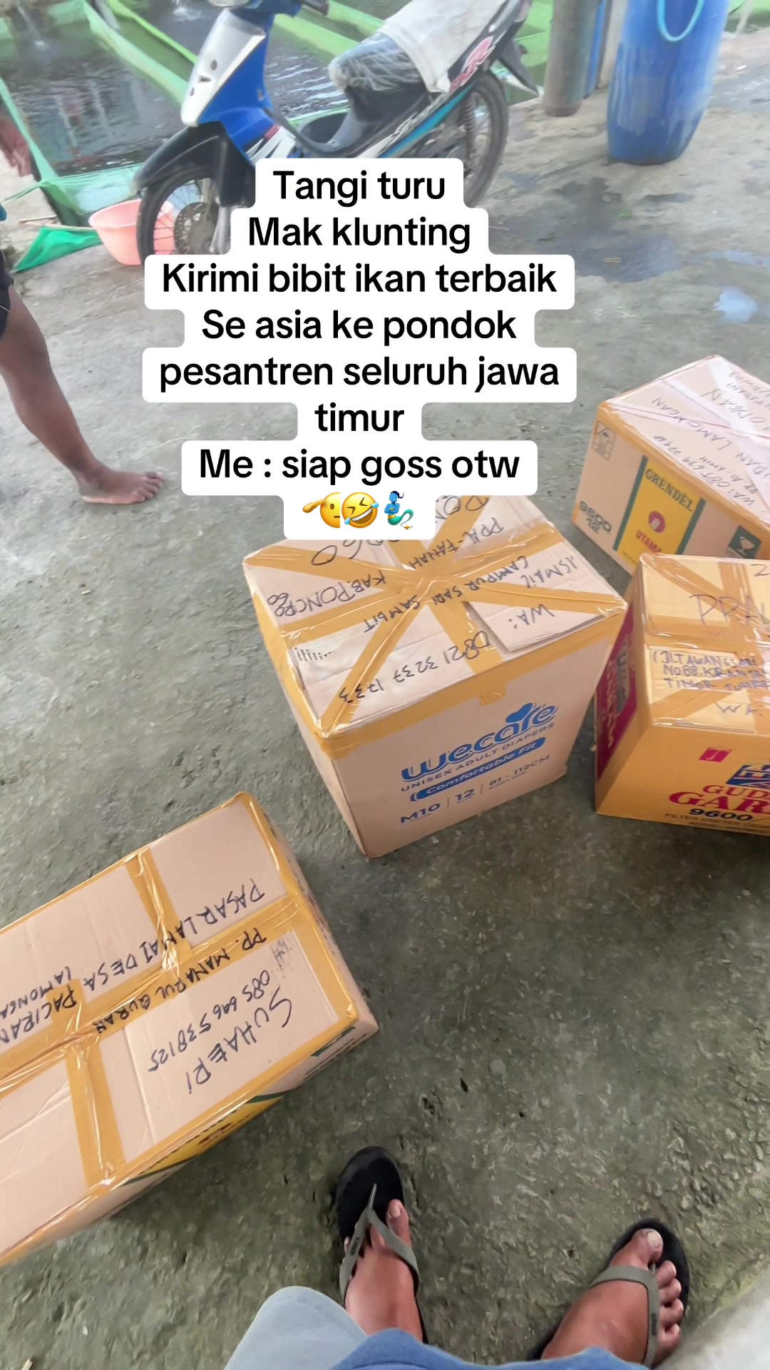 @bibitikanjawatimur