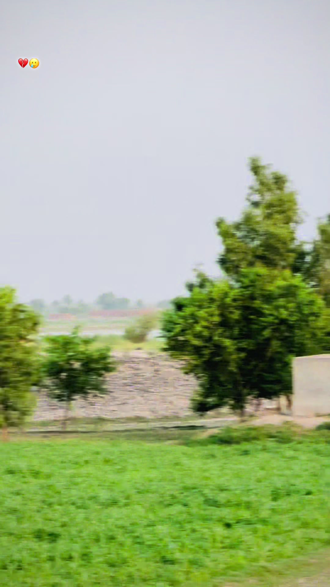 @ladlabhatti