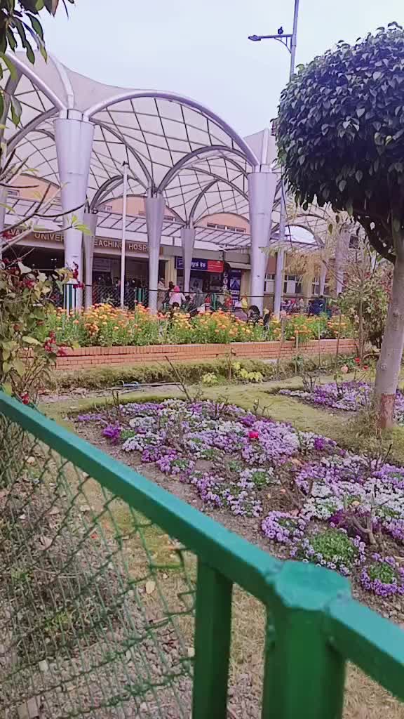 @Dhanmaya Tamang