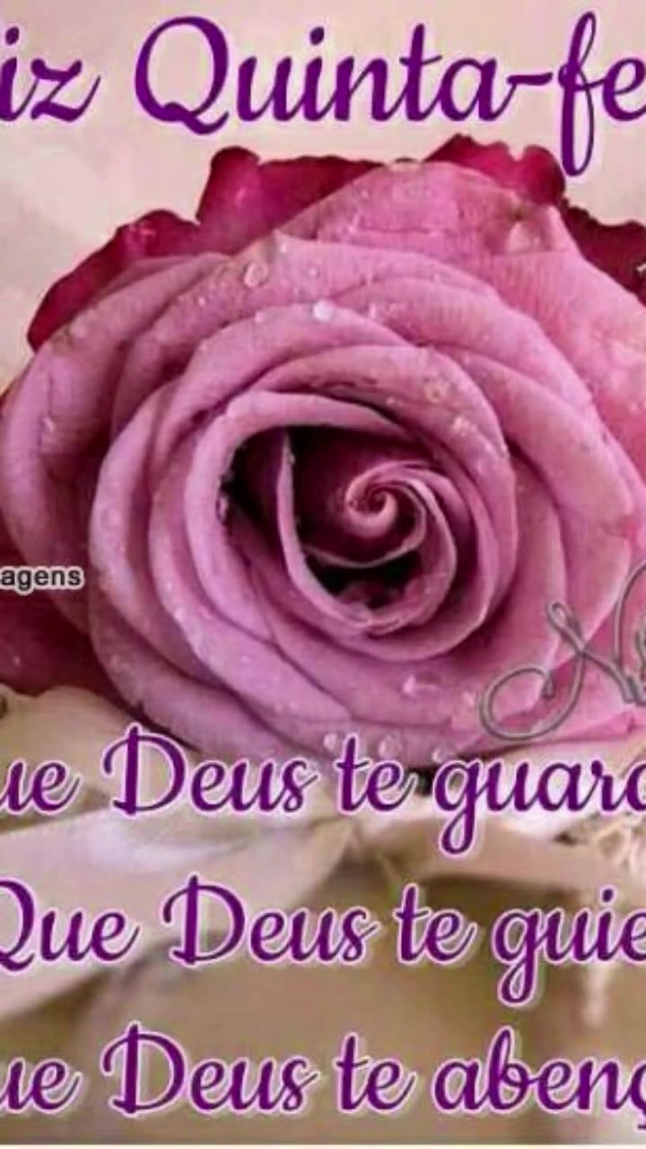 @Opoetabeijaflor