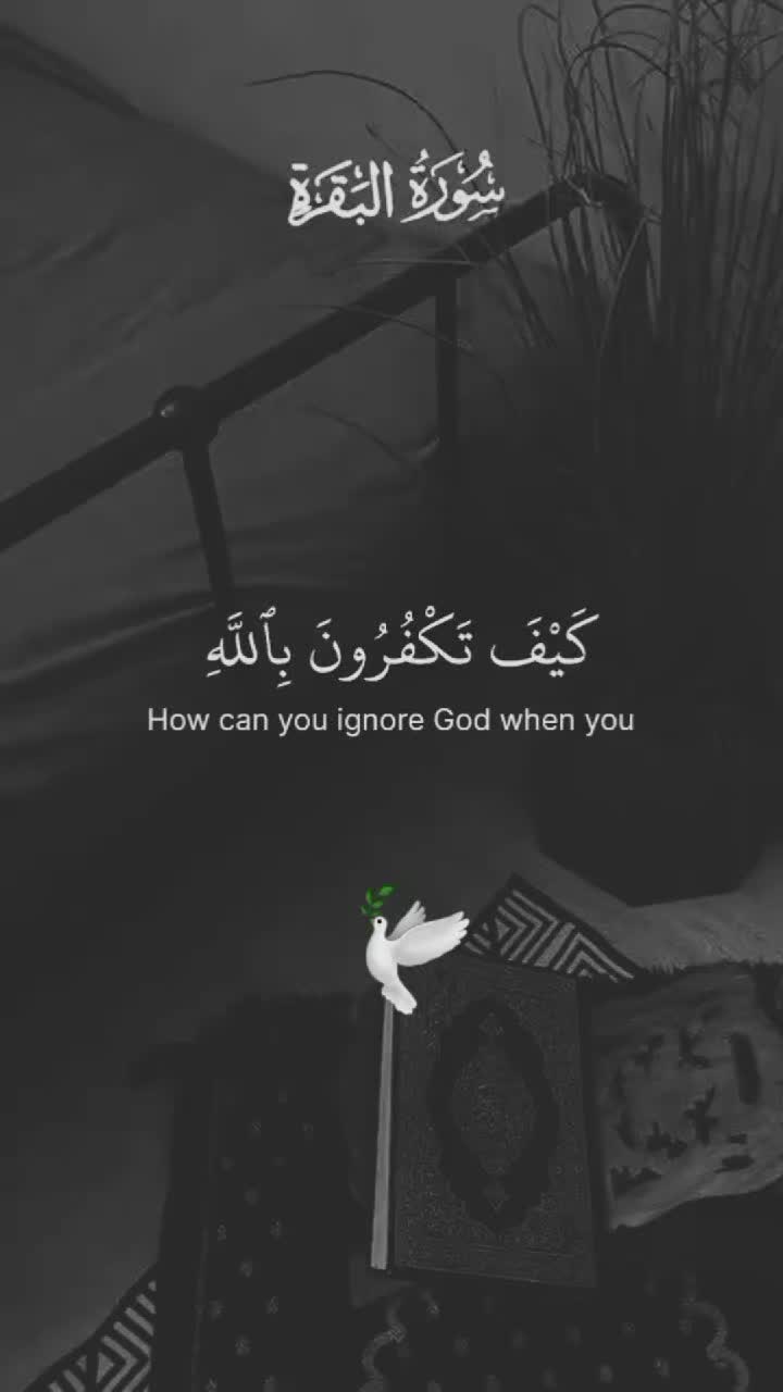 @القرآن الكريم 🕊🎧