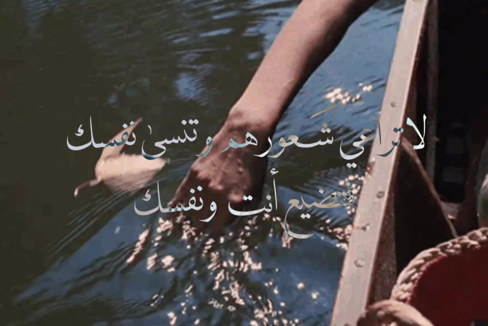 @" حَـفـصـةٌ🕯️".