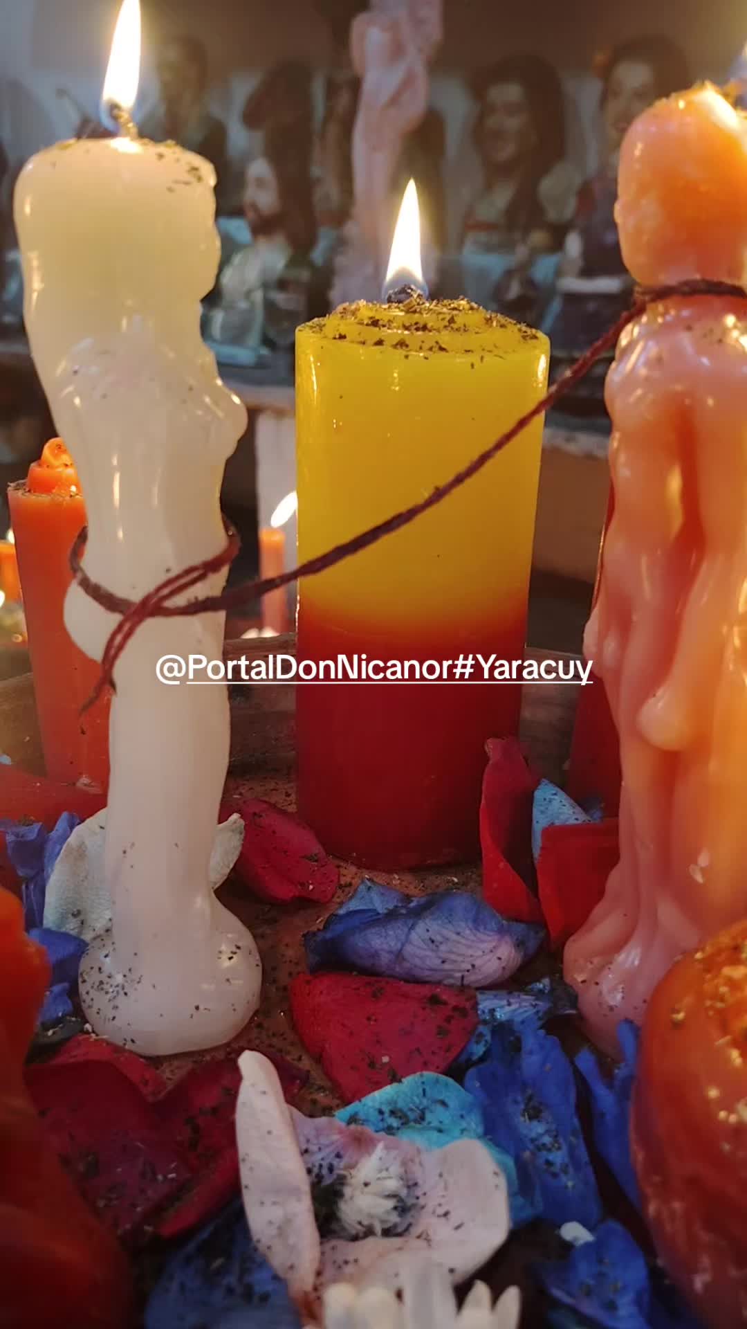 @Portal Don Nicanor #Yaracuy