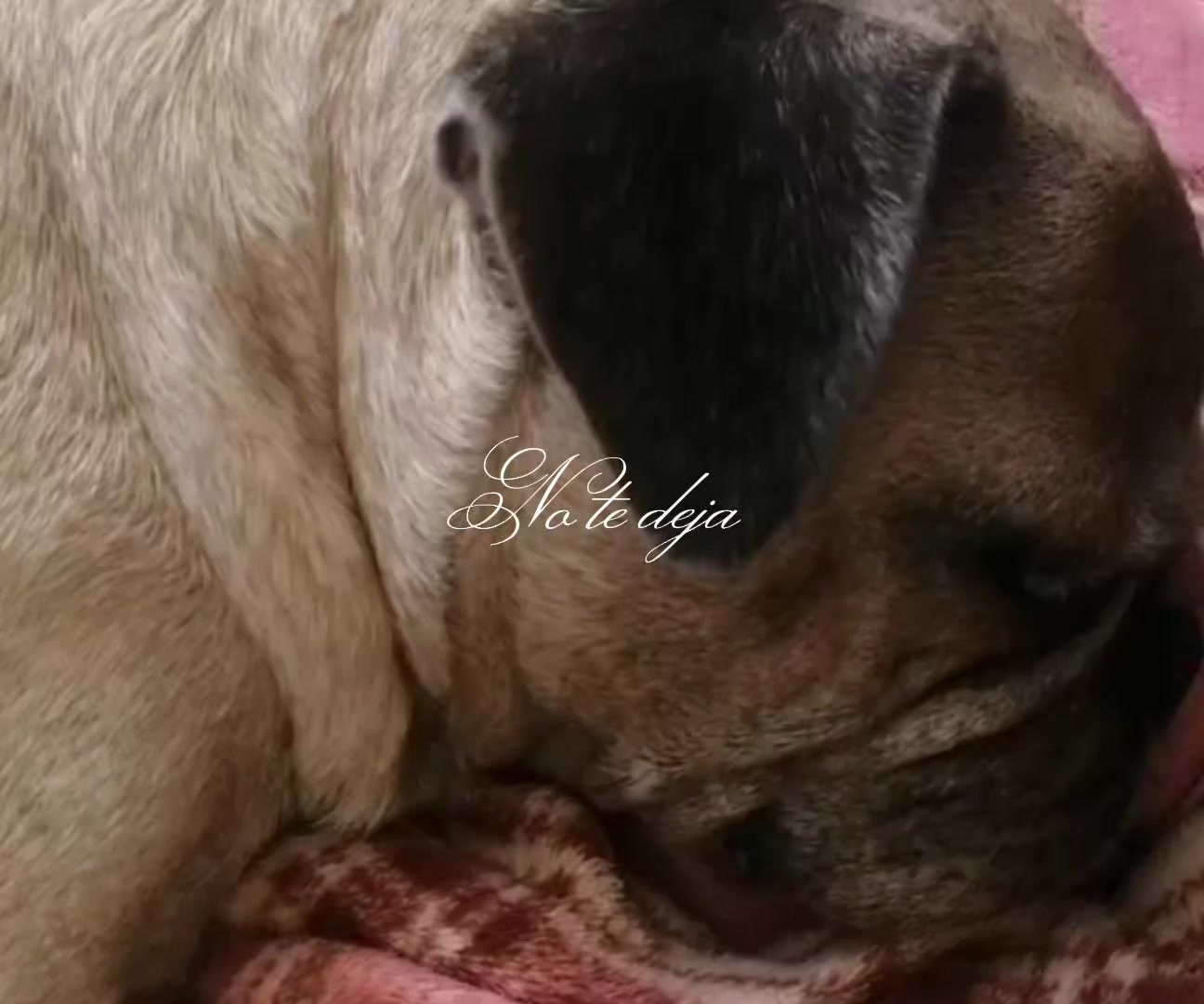 @𝐸𝓇𝒾𝒸𝓀