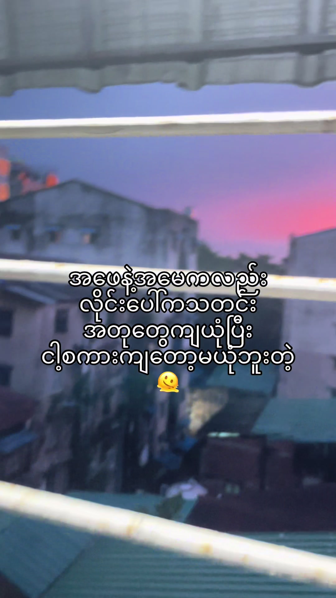 @🪼