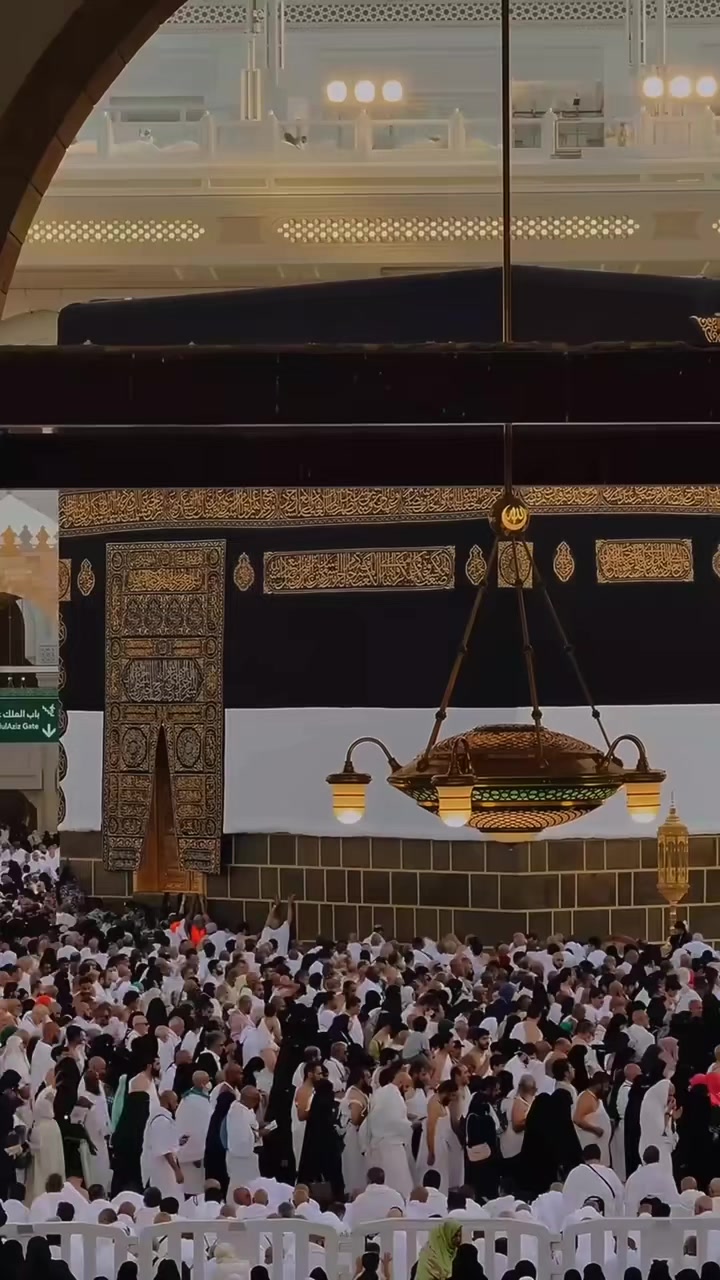 @مــــــــــــــــــــاریه