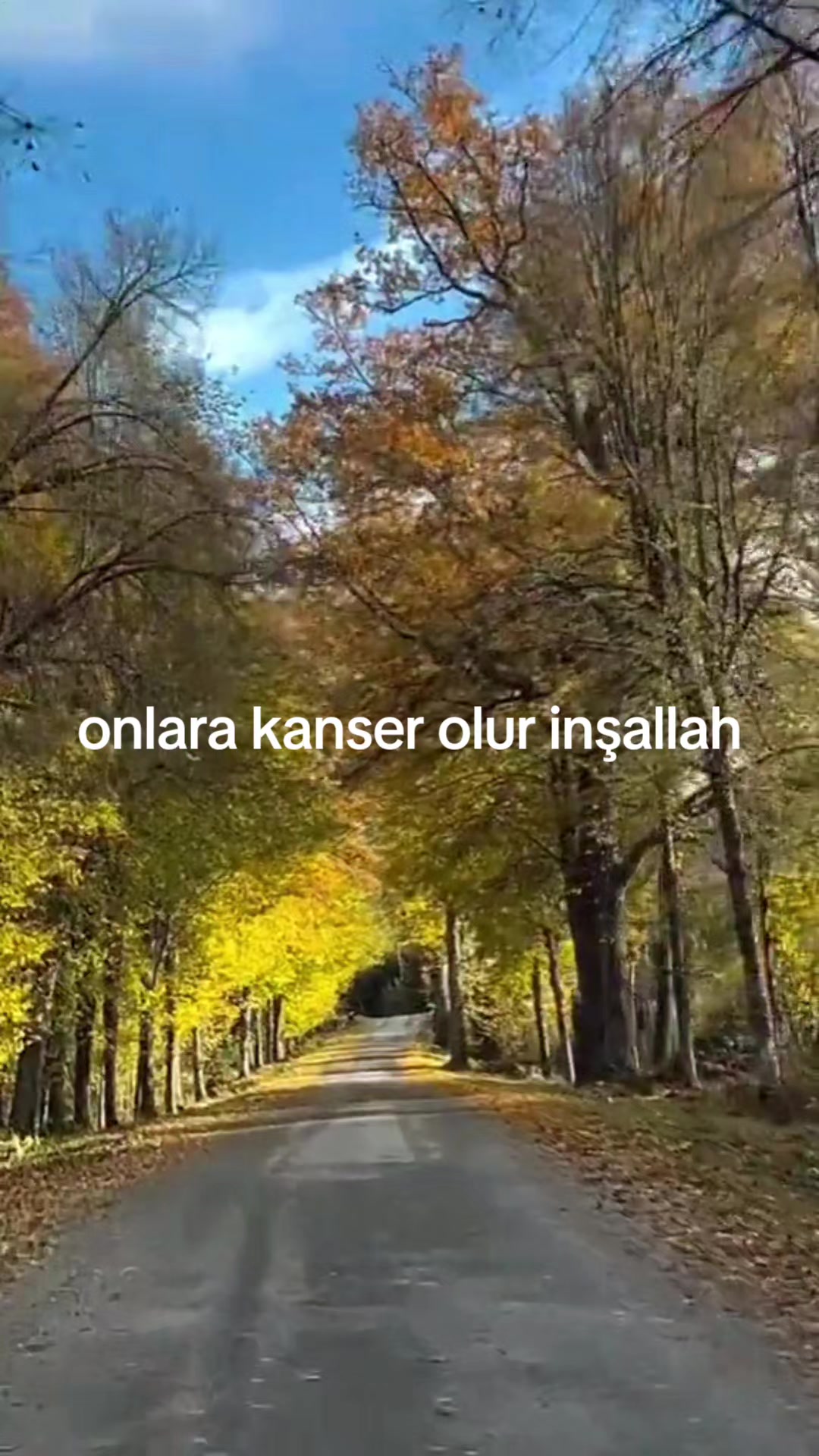 @cennet ana