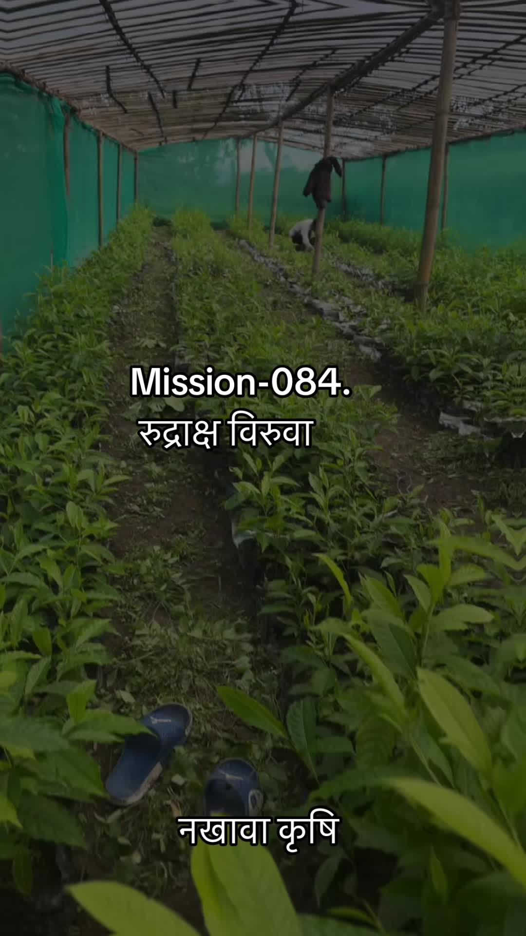@नखावा कृषि(Nakhawa Krishi)