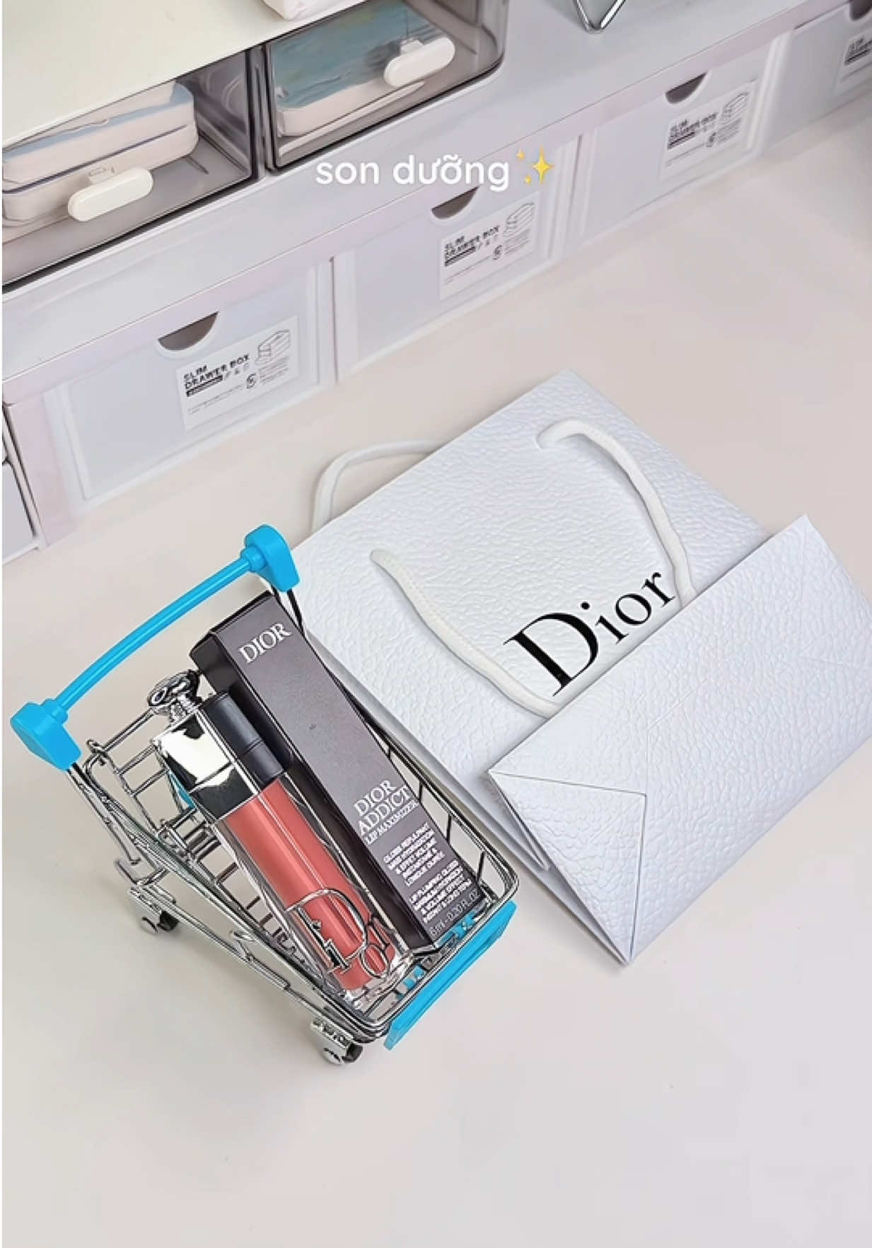 @qwii🎀